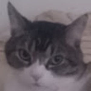 Meet your Posher, Jeffrey d